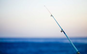 a fishing rod with the ocean in the background