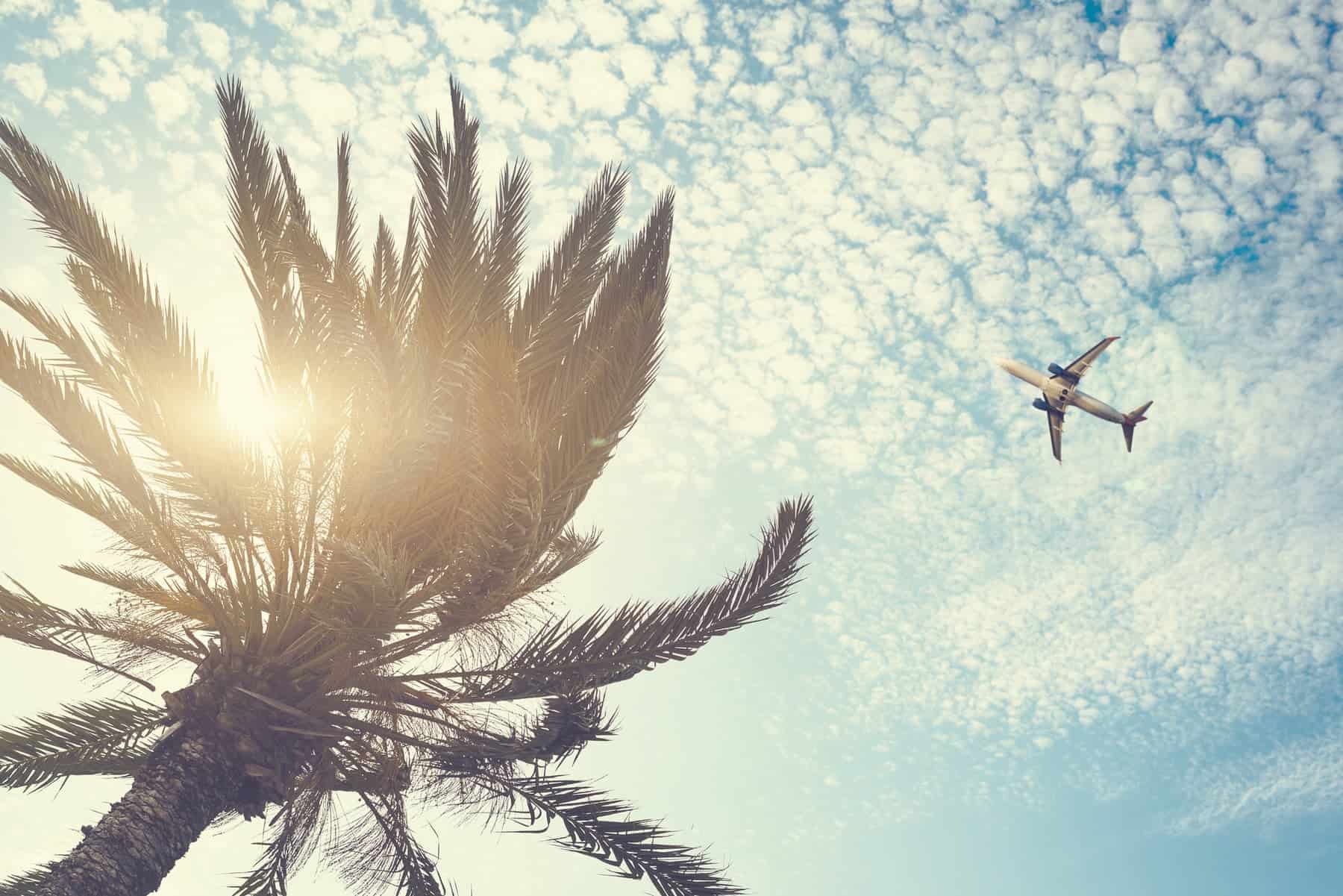 Plane Flying over the Beach with Palm Tree – Sarasota Airport